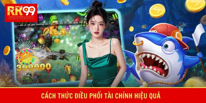 Cách thức điều phối tài chính hiệu quả