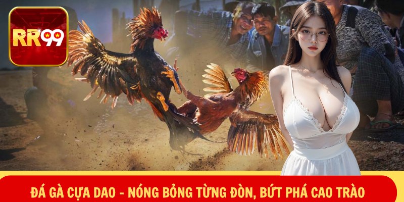 Đá Gà Cựa Dao – Nóng Bỏng Từng Đòn, Bứt Phá Cao Trào