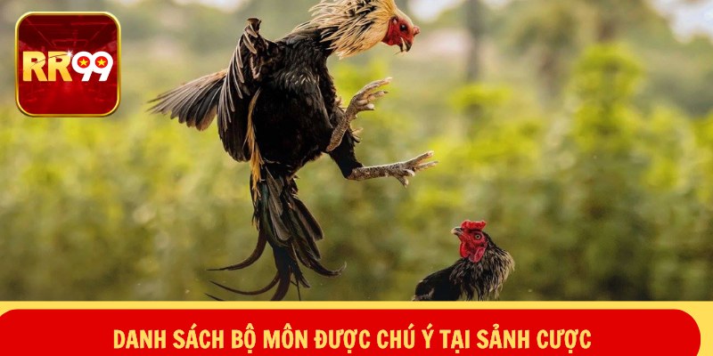 Danh sách bộ môn được chú ý tại sảnh cược