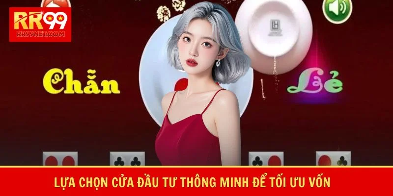 Lựa chọn cửa đầu tư thông minh để tối ưu vốn